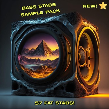 Bass Stabs Sample Pack