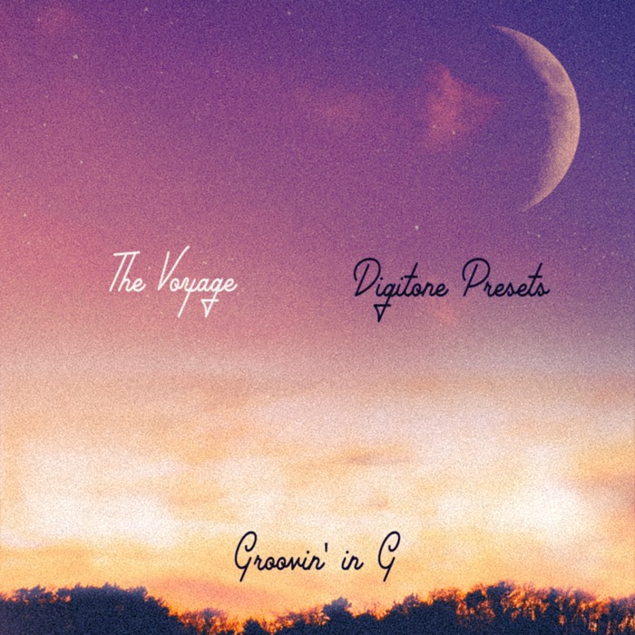 The Voyage (Digitone Presets)